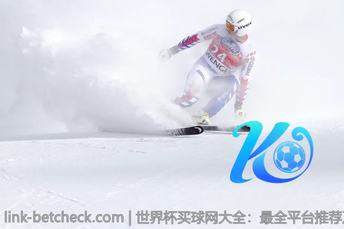世界杯买球网大全：最全平台推荐及解析