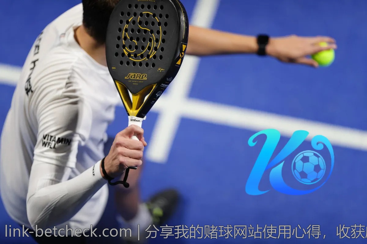 分享我的赌球网站使用心得，收获颇丰