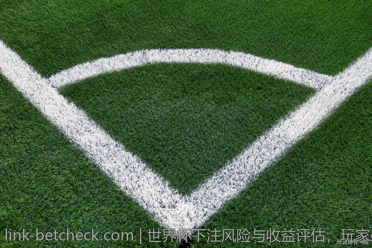 世界杯下注风险与收益评估，玩家必读