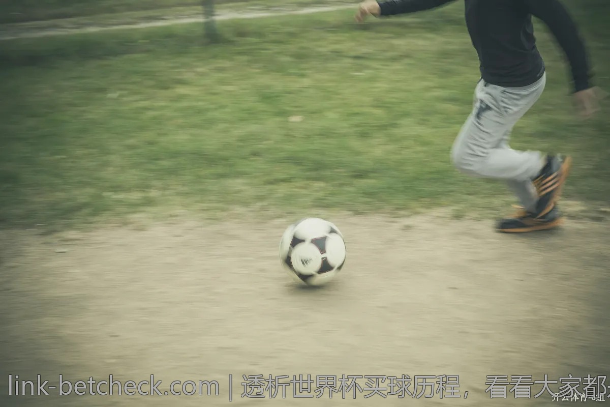 透析世界杯买球历程，看看大家都是怎么走过来的