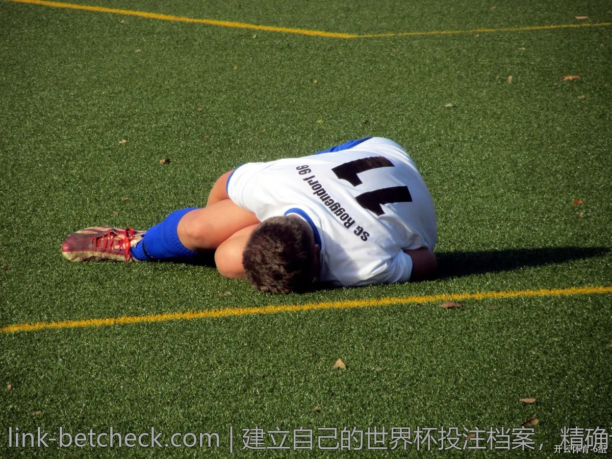 专家揭晓：如何通过数据分析优化世界杯阵容