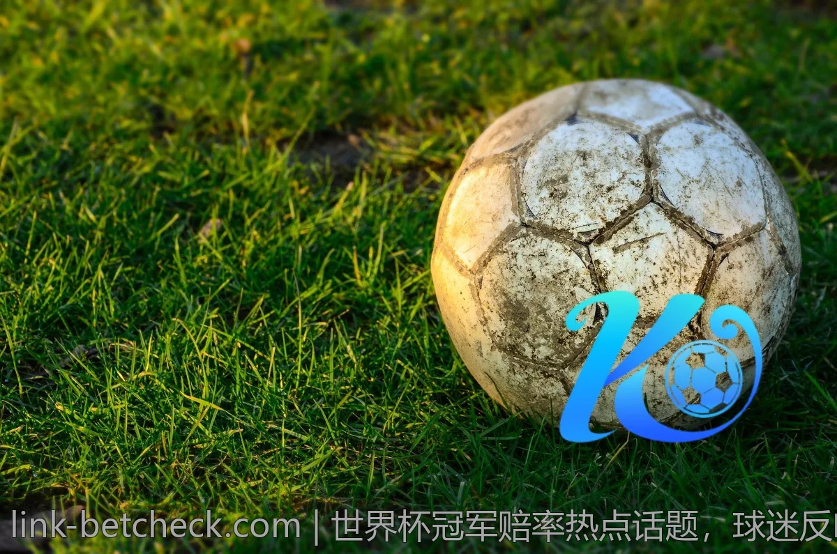 世界杯冠军赔率热点话题，球迷反响如何？
