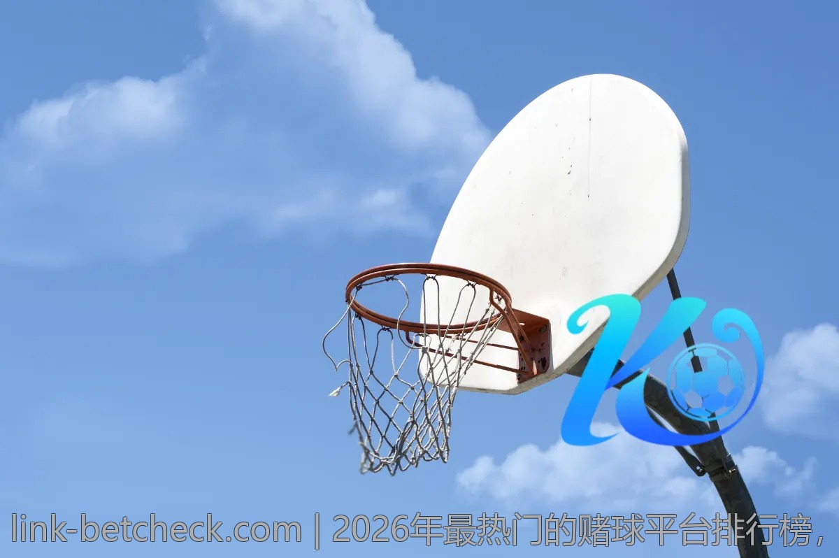 2026年最热门的赌球平台排行榜，别错过！
