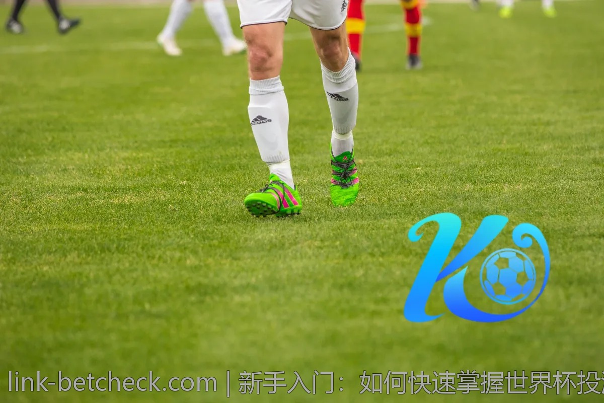 新手入门：如何快速掌握世界杯投注APP