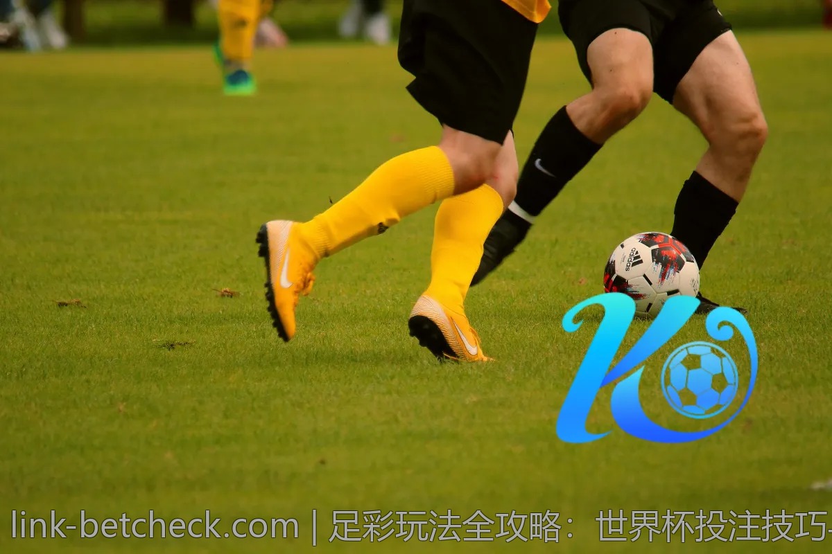 足彩玩法全攻略：世界杯投注技巧与经验分享