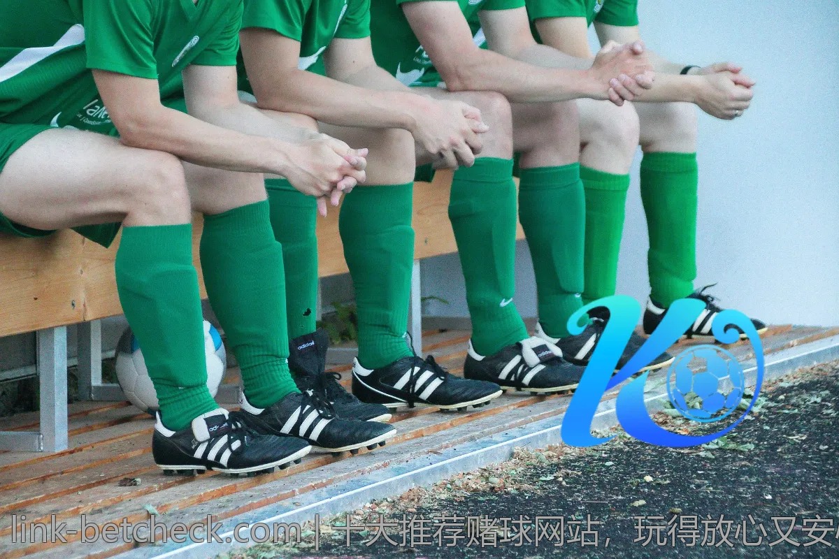 十大推荐赌球网站，玩得放心又安心